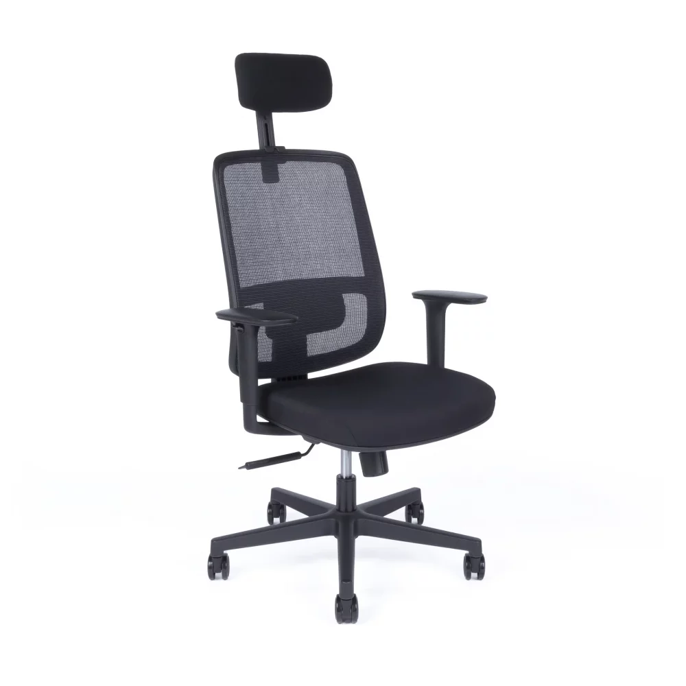 Kancelářská ergonomická židle Office Pro CANTO — více barev Černá