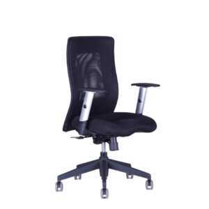 Kancelářská židle na kolečkách Office Pro CALYPSO XL BP - bez podhlavníku